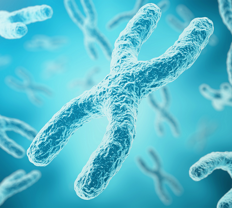 Products for Cytogenetics at neoFroxx