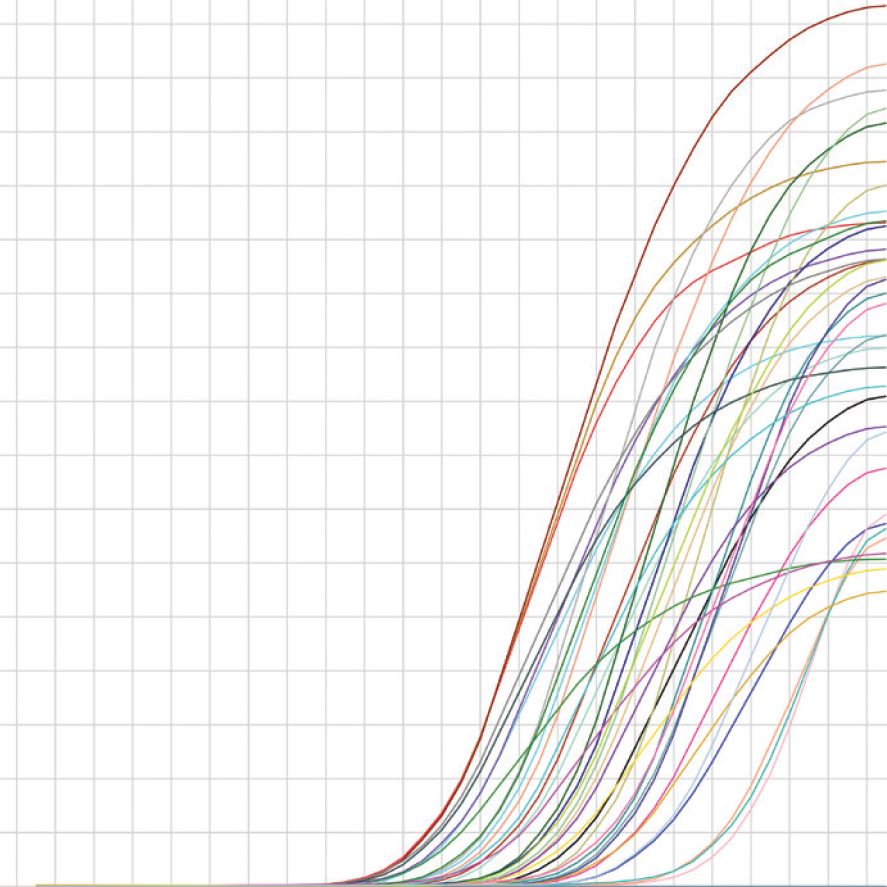 Insta Q96 Standard Curve