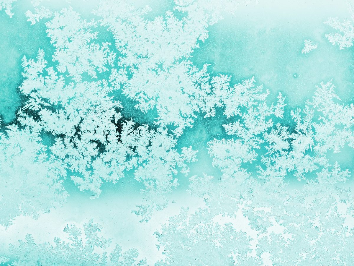 FREEZin1™ Einfriermedium
